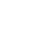 Robotic Raptor Studios logo