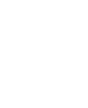 Robotic Raptor logo
