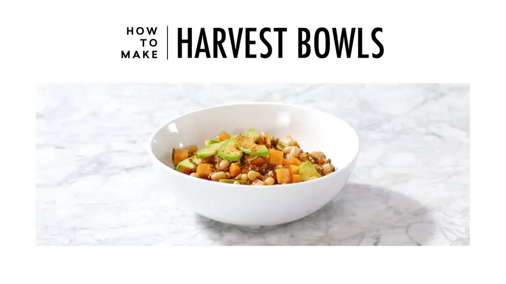 Daily Harvest — production still